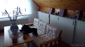 Predám rodinný/rekreačný dom v blízkosti Seneckých jazier - 16