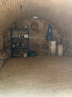 Chatka priamo pri Váhu - 16