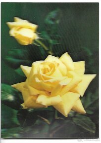 3D pohľadnice (21-40 ), čisté v top stave, 1 ks za 1 € - 16