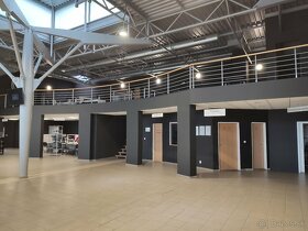 Maliarske prace-maliar,malovanie,striekanie airless - 16