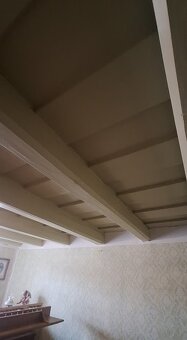 Priestranný RD Lubina, 2842 m2 pozemok - 16