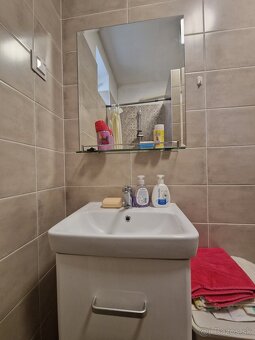 3 izb. rodinný dom s 30,43á pozemkom v Šoporni na predaj - 16