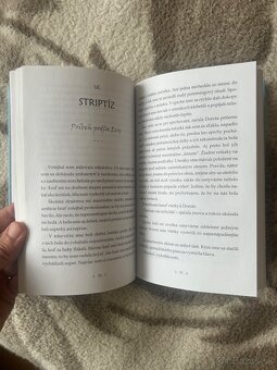 Knižky pre mládež - 16