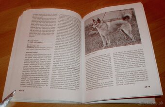 Severské plemená psov - 16