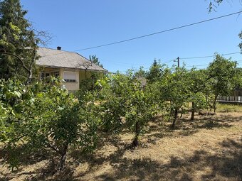 Tornyosnémeti, MAĎARSKO-dom s veľkým pozemkom blízko Košíc - 16