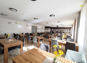 HALO reality - Prenájom, reštauračný priestor Dudince, Bar a - 16