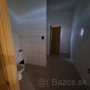 Exkluzívne rozostavaný dom a hosp. objekt v obci Veľké Lovce - 16