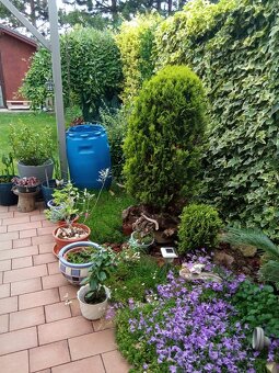 Pekný dom v atraktívnej lokalite Čierna Voda,iba 15 km od BA - 16