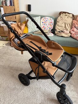 Krásny kočik Anex ETYPE Caramel - 16