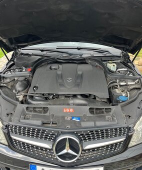 Mercedes-Benz C220 Cdi 125kw, W204 - 16