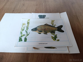 Staré školské pomôcky - 16