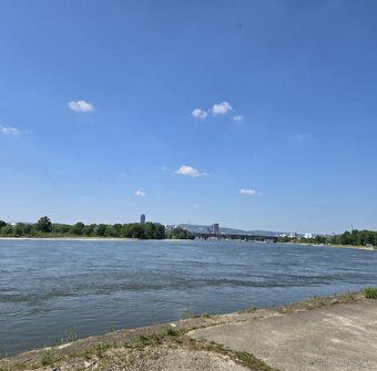 Štýlový houseboat 427 m² v drevenom švajčiarskom dizajne - 16