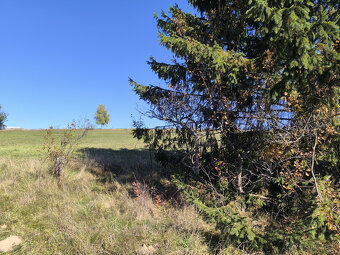 LUKRATÍVNE SLNEČNÉ POZEMKY S PRÍPOJKOU ELEKTRINY A VODY V NA - 16