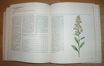 Atlas Liečivých rastlín a lesných plodov - 16
