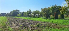 HALO reality - Predaj, rodinný dom Borský Svätý Jur - ZNÍŽEN - 16