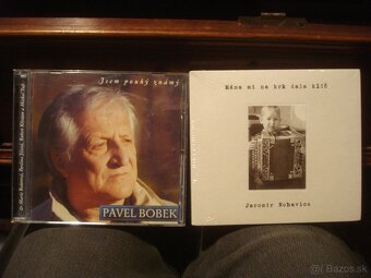 CD VONDRÁČKOVÁ FANÁNEK LANDA LUCIE LUNETIC ZAGOROVÁ DAVID - 16