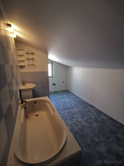 Veľkorysý dom Hosťovce - 16