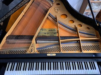 Klavír - křídlo August Förster - 16