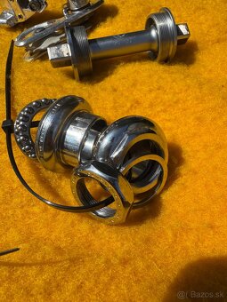 Sadu Campagnolo Victory - 16
