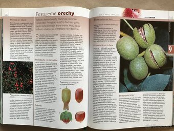 Bukovský, Psy, Golf Fyzika, Malý atlas húb, Slovenský futbal - 16