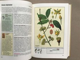 Izbové rastliny, Herbár, Atlas liečivých rastlín a lesných - 16