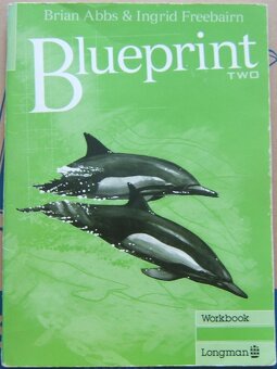 OPENING STRATEGIES, BLUEPRINT INTERMEDIATE, TWO - 16