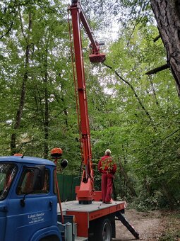 Arboristika, rizikové výruby a orezy stromov - 16