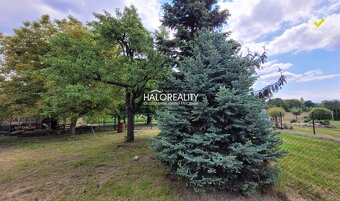 HALO reality - Predaj, rodinný dom Sľažany - EXKLUZÍVNE HALO - 16