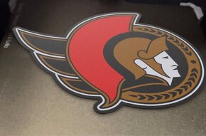 🔆🔆🔆Lightbox / LED box 🔆🔆🔆 NHL tímy - 16