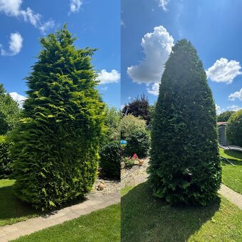 Údržba záhrad, kosenie, pílenie - 16