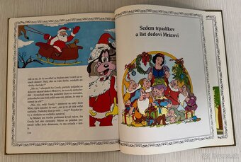 Disney Luxus - 16