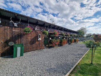 Voliery , klietky - 16