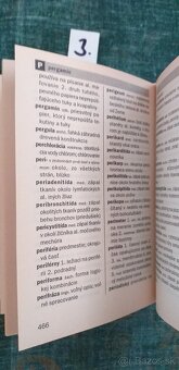 Slovníky, jazykové knihy na predaj - 16