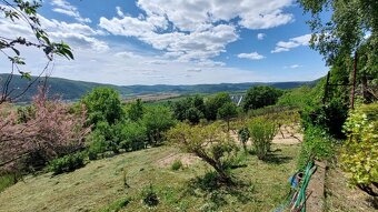ZÁHRADNA CHATA S VINICOU, JABLONOV NAD TURŇOU - 16