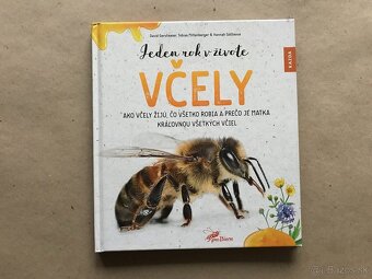 Deti ako ja, Školská encyklopédia, Zvonár u Matky Božej - 16