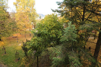 Prenájom 2 - izbového bytu Bulvár - 16