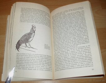 Bažanti a ostatní hrabaví - 16