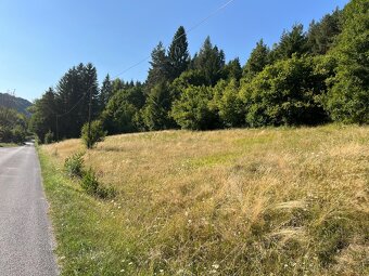 Pozemok v obci Ľubietová - 16