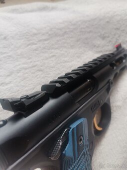 Ruger 22lr - 16