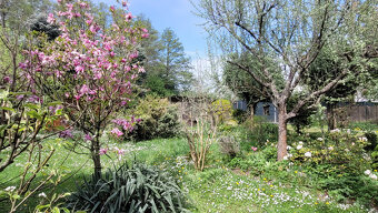 CHATKA SO ZÁHRADOU 301 m2, KOŠICE - ŠACA - 16