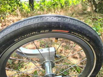 Thule Chariot CX1 - 16