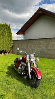 Predam Indian Chief Classic - 16