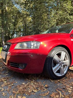 Audi A3 8P 2.0 TDI - 16