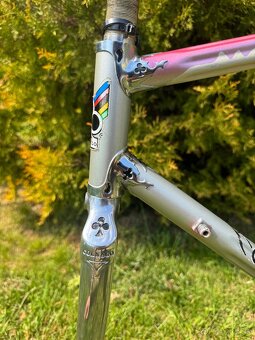 Colnago Arabesque Regal - 16