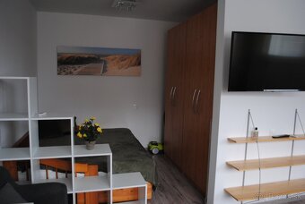 Prenajmem veľký1,5izbový slnečný byt, Bory1, nemocnica 3 min - 16