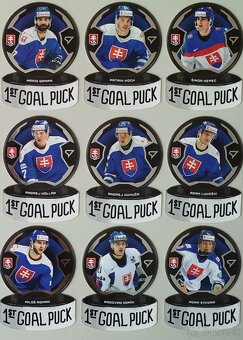 Hokejové kartičky HOKEJOVÉ SLOVENSKO 2024 - A L B U M - 16