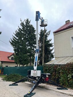 Pílenie stromov, arboristika, výrub stromov, orez stromov - 16