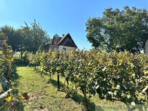 Viničný domček s vinohradom nad malebnou dedinkou Michal - 16