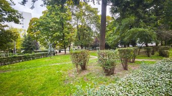 BA Staré mesto - Wilsonova - 2i BYT v úžasnej lokalite v cen - 16