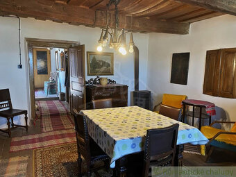 Rozsiahla vinica s historickou chatou v Slovenskom krase - 16